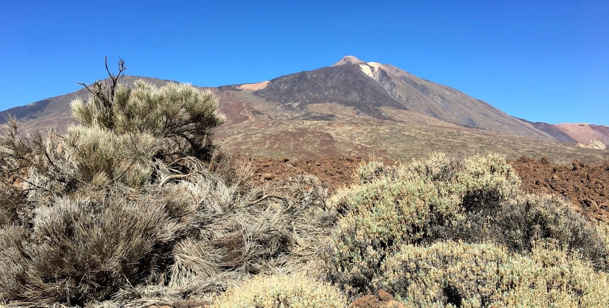 Die Kanarischen Inseln - Teide Nationalpark auf Teneriffa